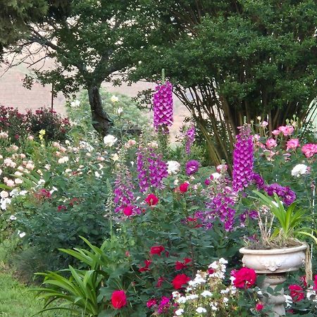 Piccadilly Farm Cottages Lions River エクステリア 写真