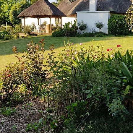 Piccadilly Farm Cottages Lions River エクステリア 写真