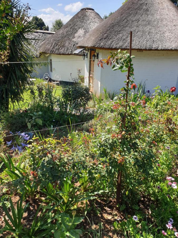 Piccadilly Farm Cottages Lions River エクステリア 写真