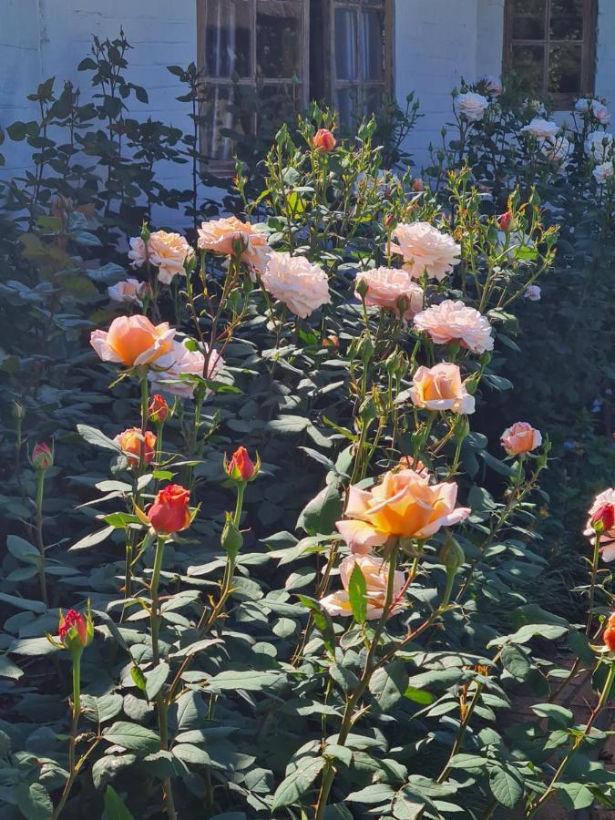 Piccadilly Farm Cottages Lions River エクステリア 写真