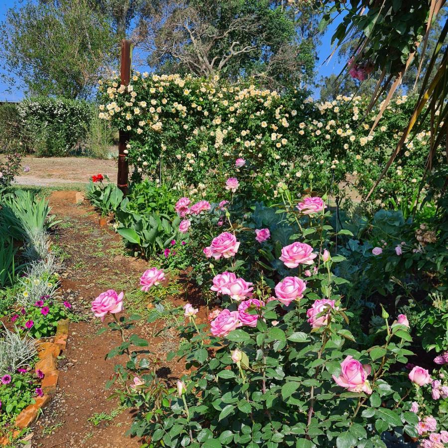 Piccadilly Farm Cottages Lions River エクステリア 写真