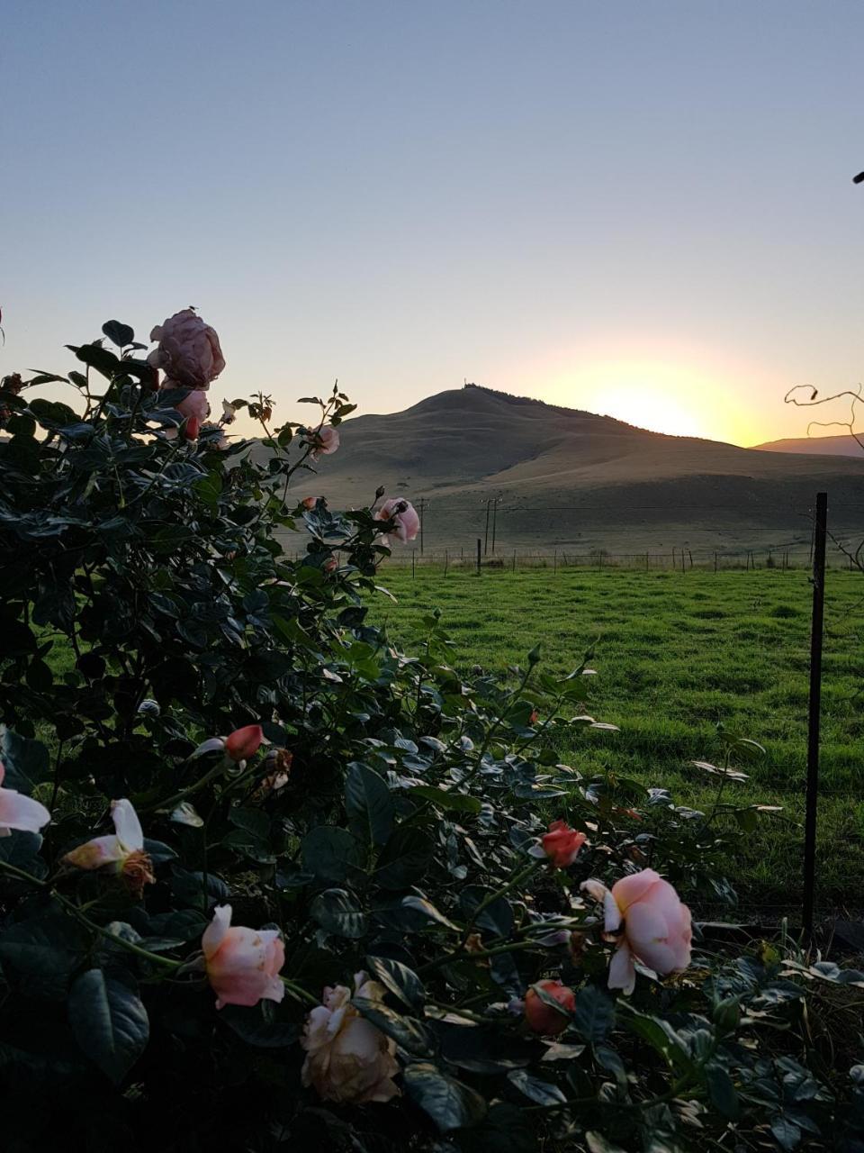 Piccadilly Farm Cottages Lions River エクステリア 写真