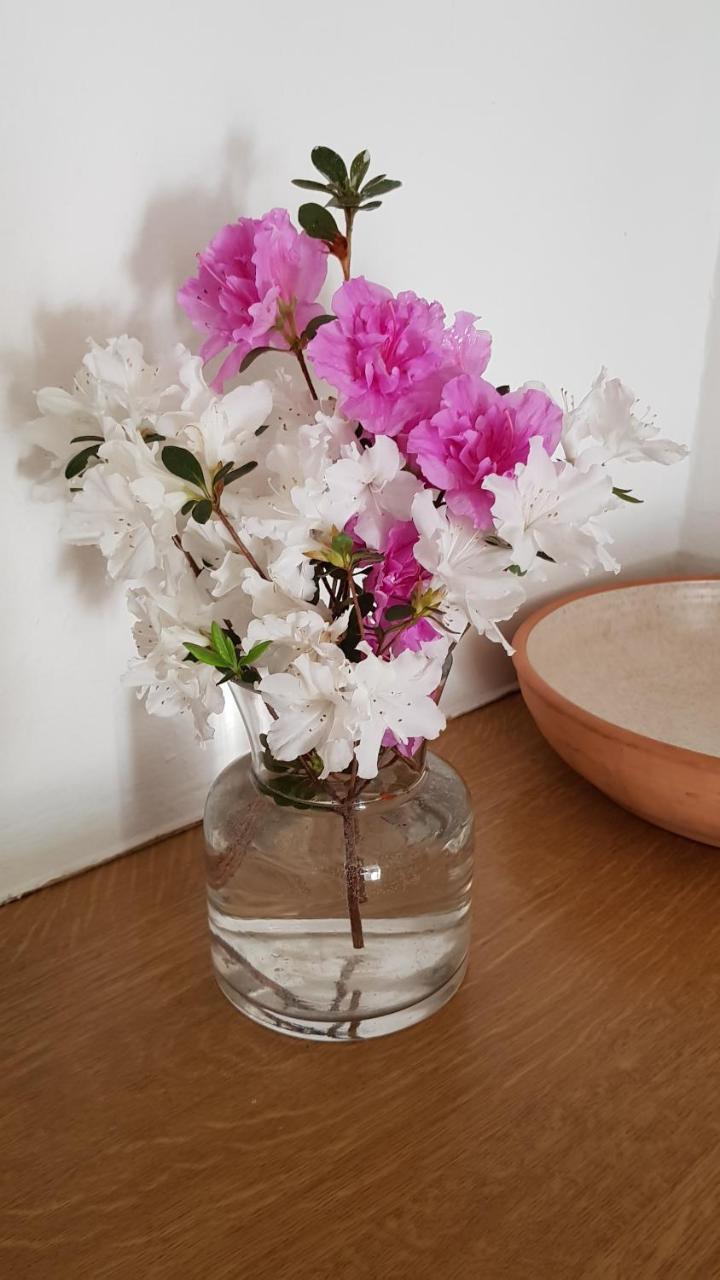 Piccadilly Farm Cottages Lions River エクステリア 写真