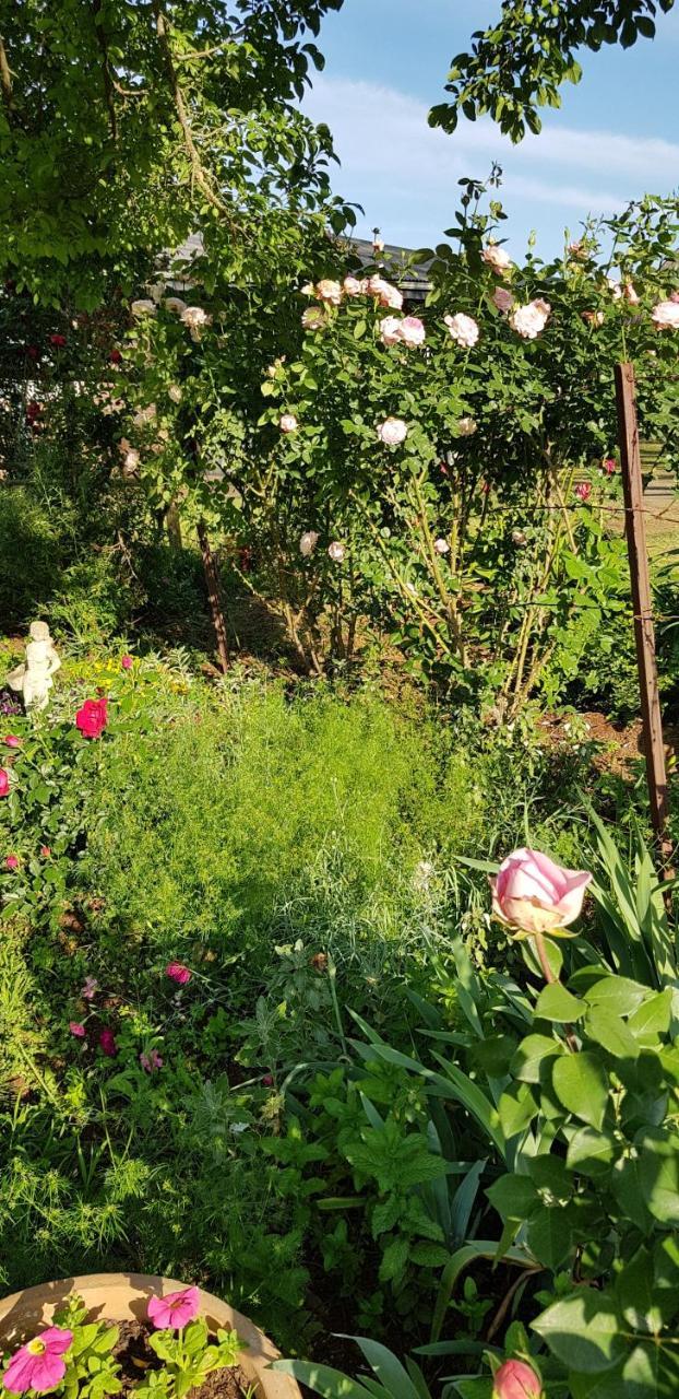 Piccadilly Farm Cottages Lions River エクステリア 写真