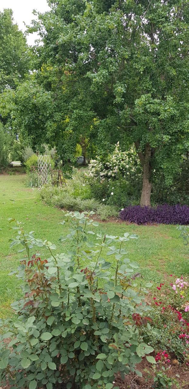 Piccadilly Farm Cottages Lions River エクステリア 写真