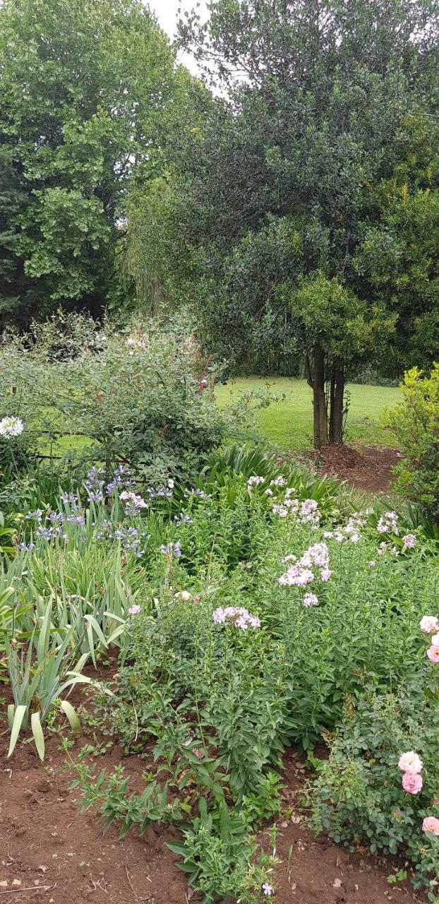 Piccadilly Farm Cottages Lions River エクステリア 写真